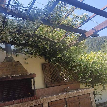 Diogenis Villa Vourvourou Luaran gambar