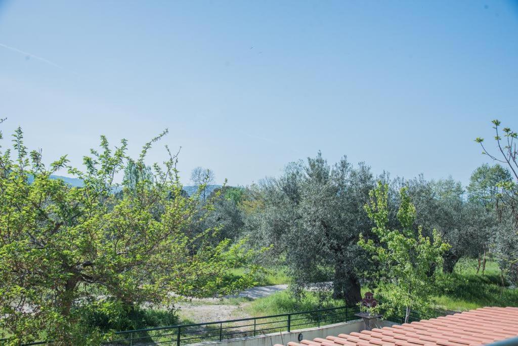Diogenis Villa Vourvourou Luaran gambar