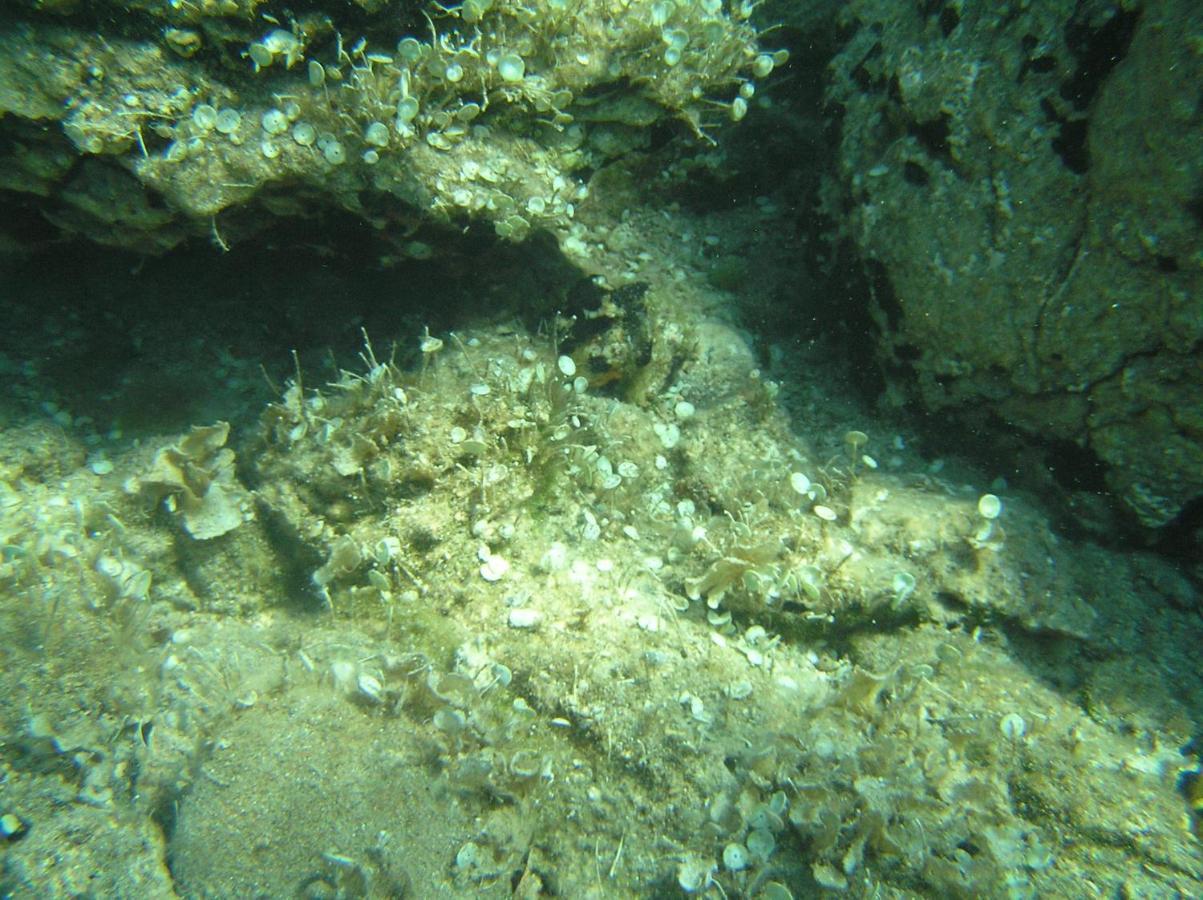 Diogenis Villa Vourvourou Luaran gambar