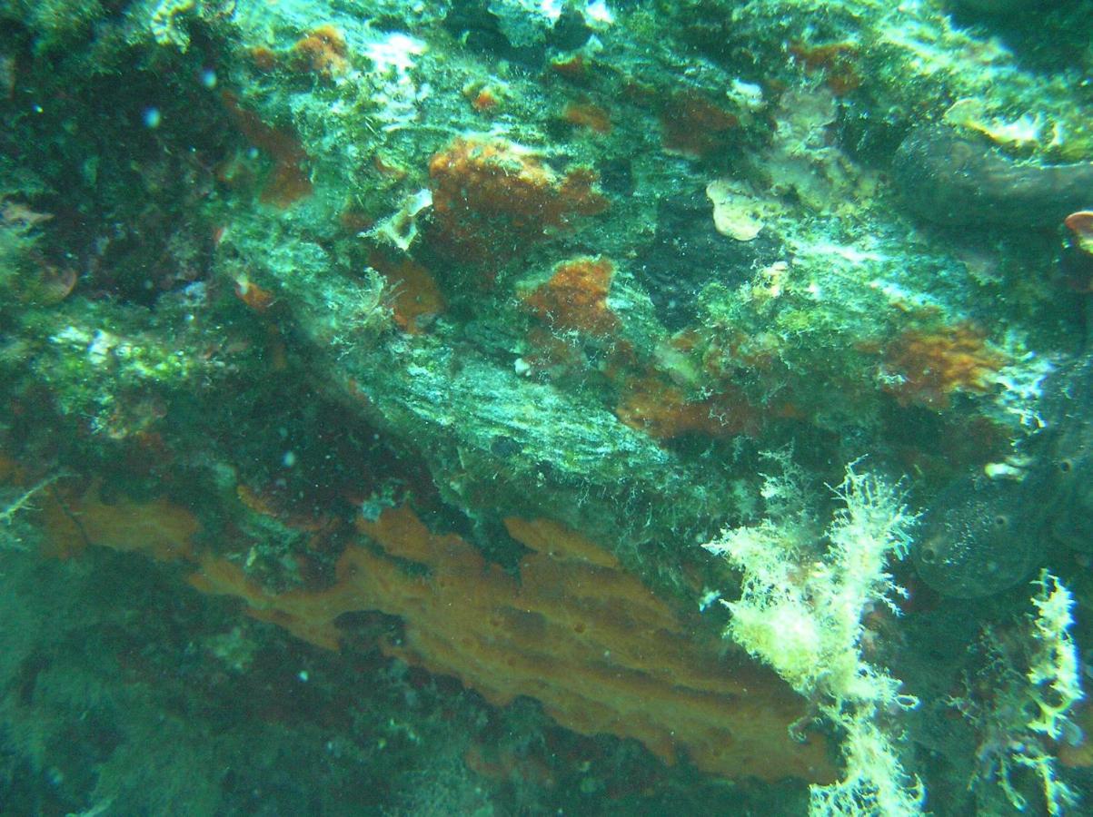 Diogenis Villa Vourvourou Luaran gambar