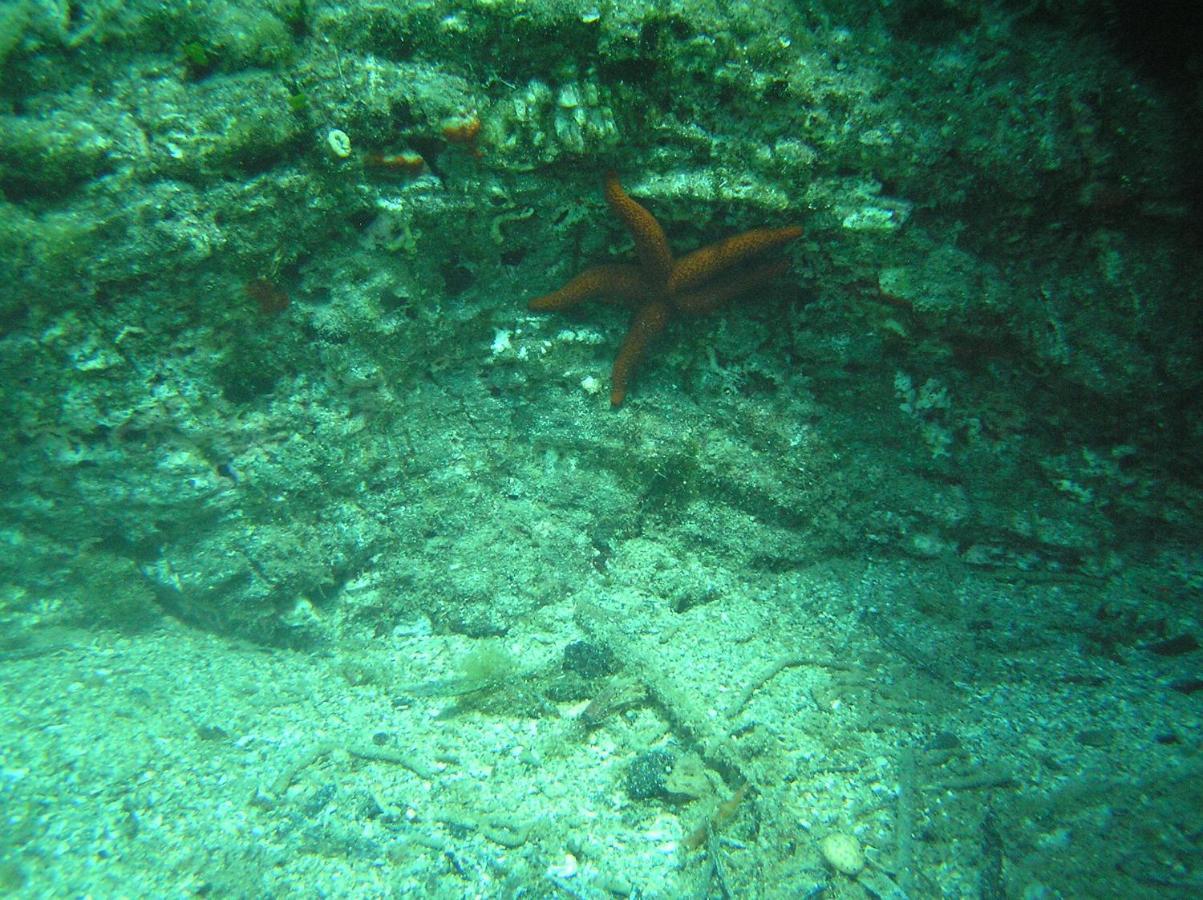 Diogenis Villa Vourvourou Luaran gambar