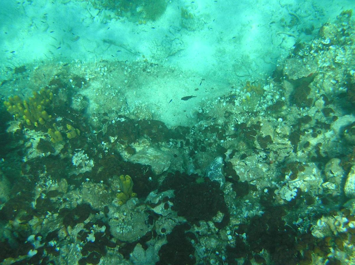 Diogenis Villa Vourvourou Luaran gambar