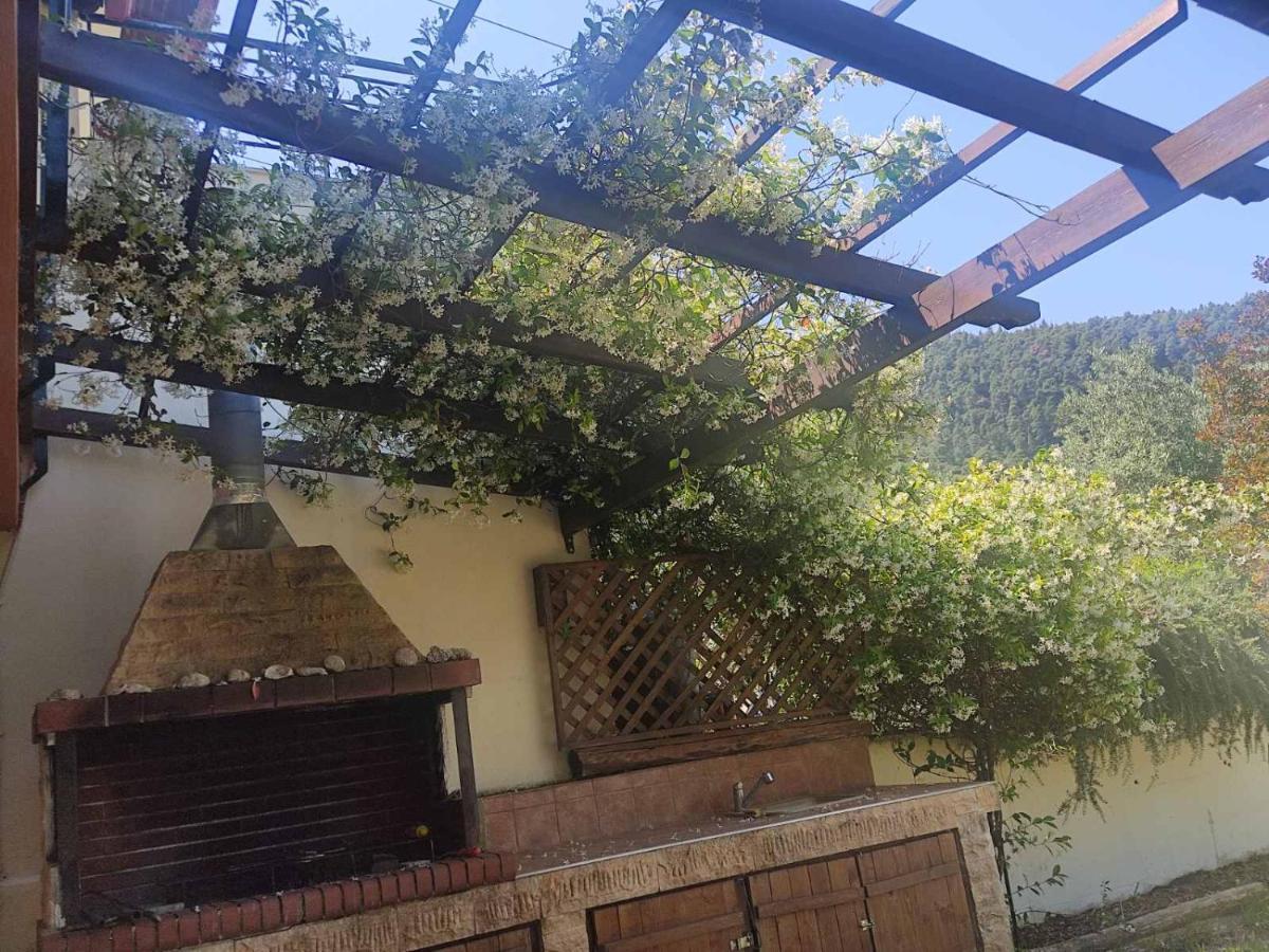 Diogenis Villa Vourvourou Luaran gambar